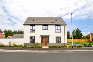 Photo 36- click for photo gallery